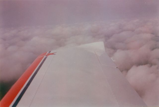 https://www.baialupo.com/gallery/2003-04-ok-fur-20/res1448.jpg