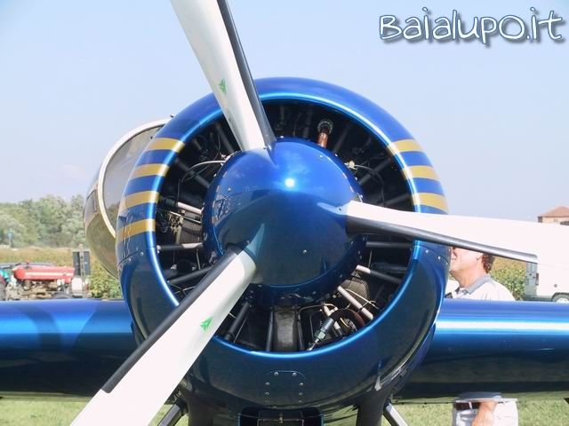 https://www.baialupo.com/gallery/2003-09-legnago/res33528.jpg