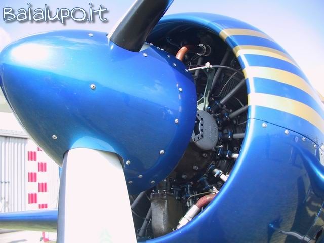 https://www.baialupo.com/gallery/2003-09-legnago/res33535.jpg