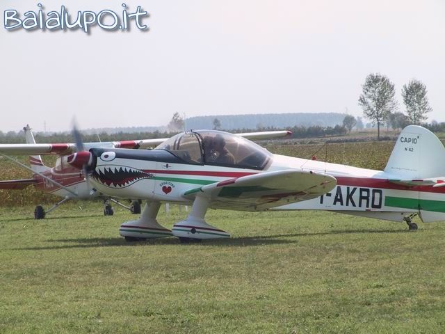 https://www.baialupo.com/gallery/2003-09-legnago/res33541.jpg