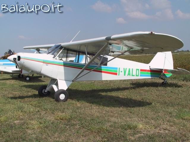 https://www.baialupo.com/gallery/2003-09-legnago/res33578.jpg