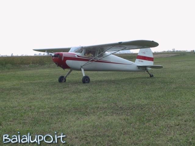https://www.baialupo.com/gallery/2003-09-legnago/res33587.jpg