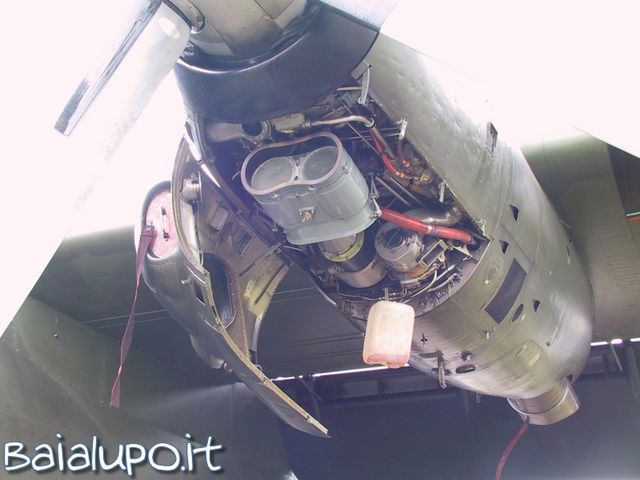 https://www.baialupo.com/gallery/2004-06-magdeburg/res23665.jpg