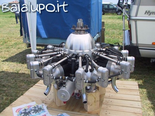 https://www.baialupo.com/gallery/2004-06-ozzano/res58357.jpg