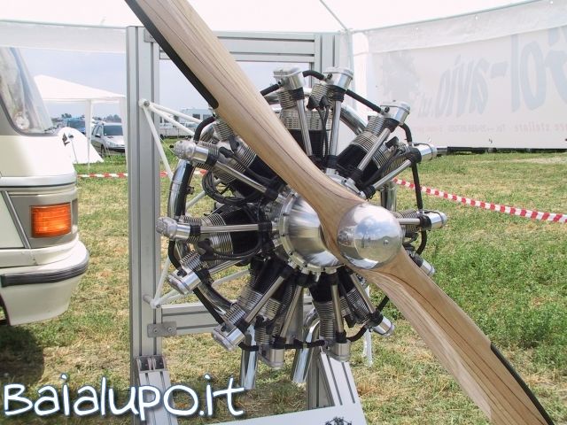 https://www.baialupo.com/gallery/2004-06-ozzano/res58358.jpg