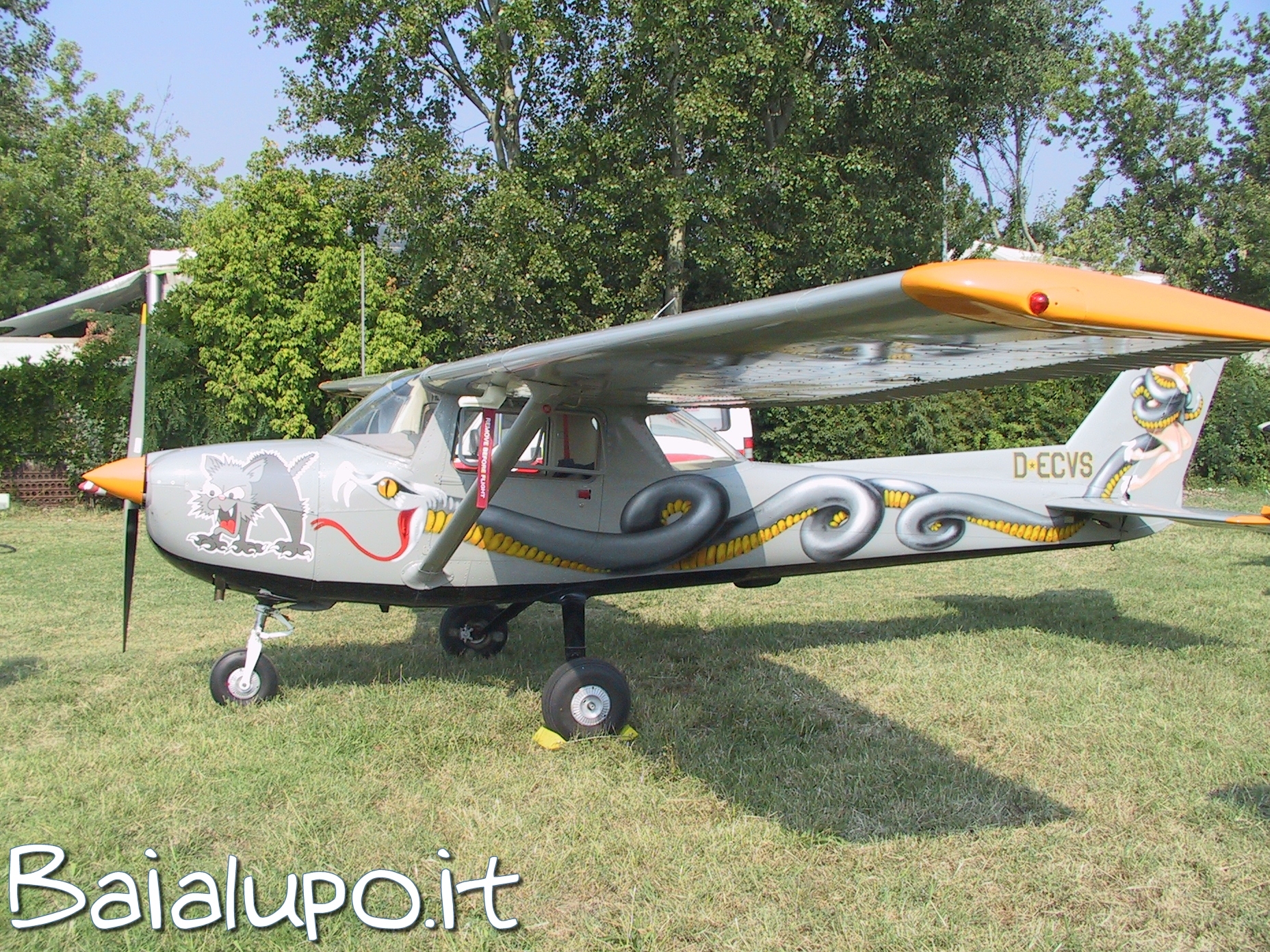 https://www.baialupo.com/gallery/2004-09-carpi/I1743.jpg