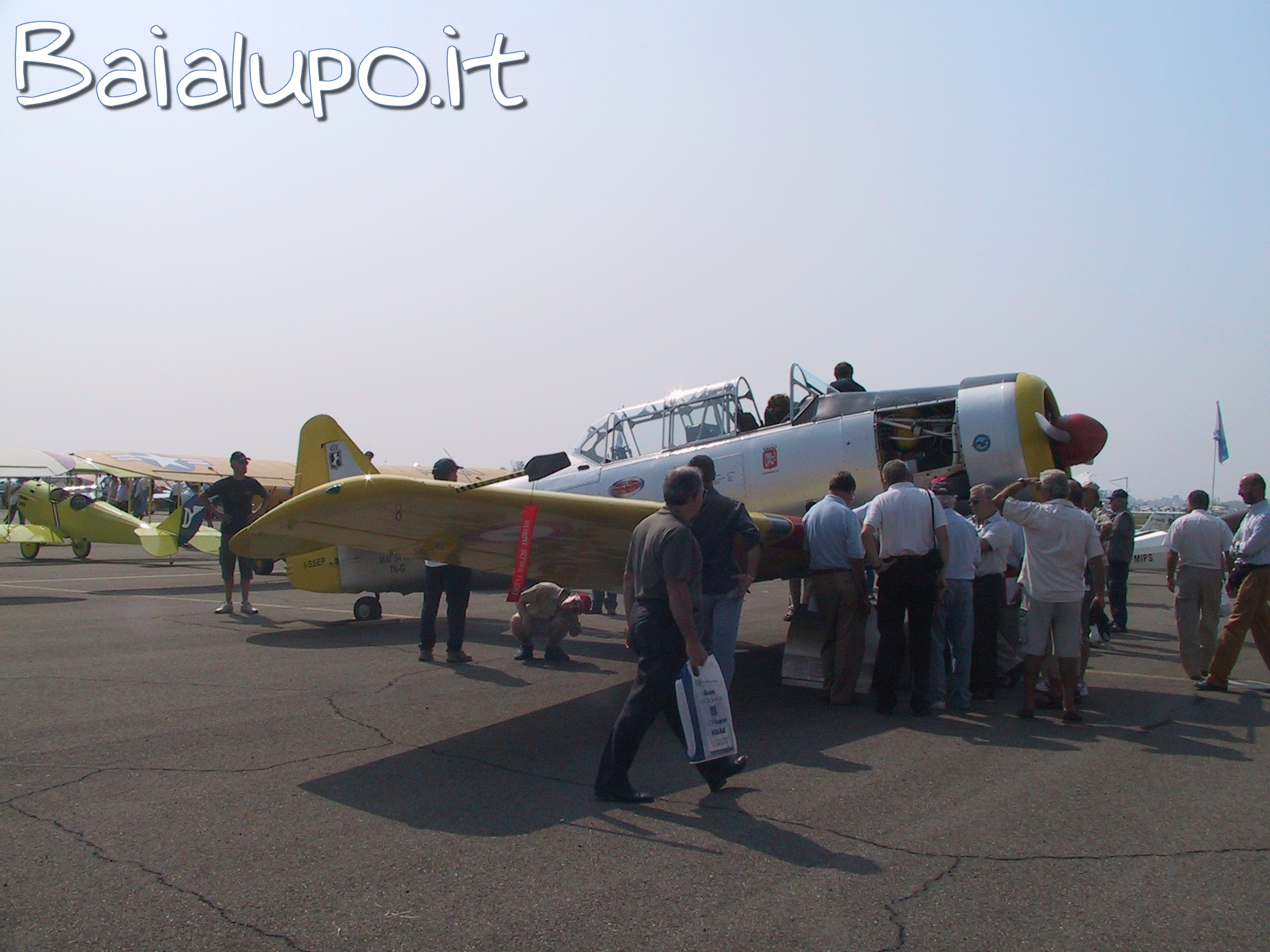 https://www.baialupo.com/gallery/2004-09-carpi/I1746.jpg