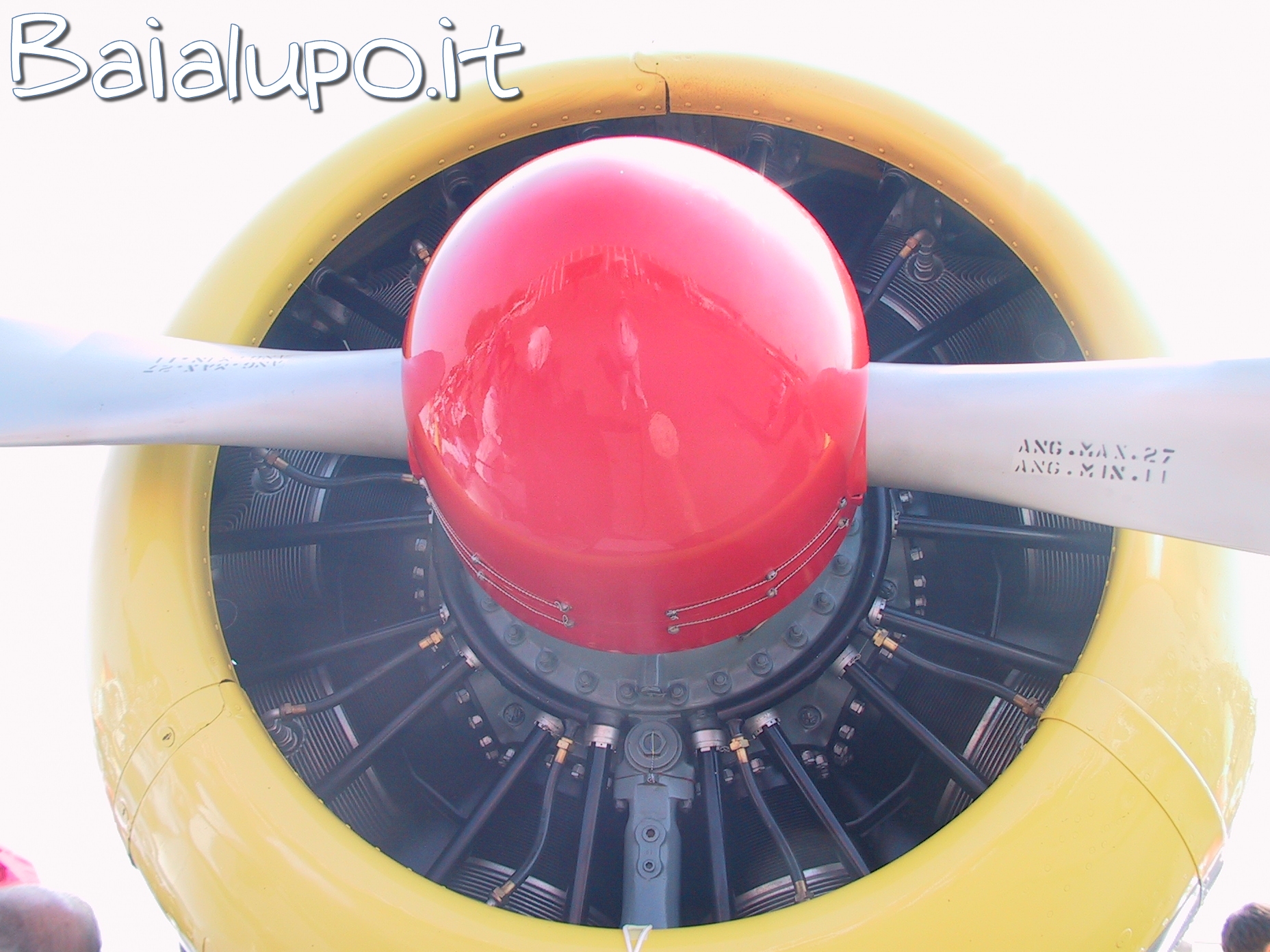 https://www.baialupo.com/gallery/2004-09-carpi/I1750.jpg