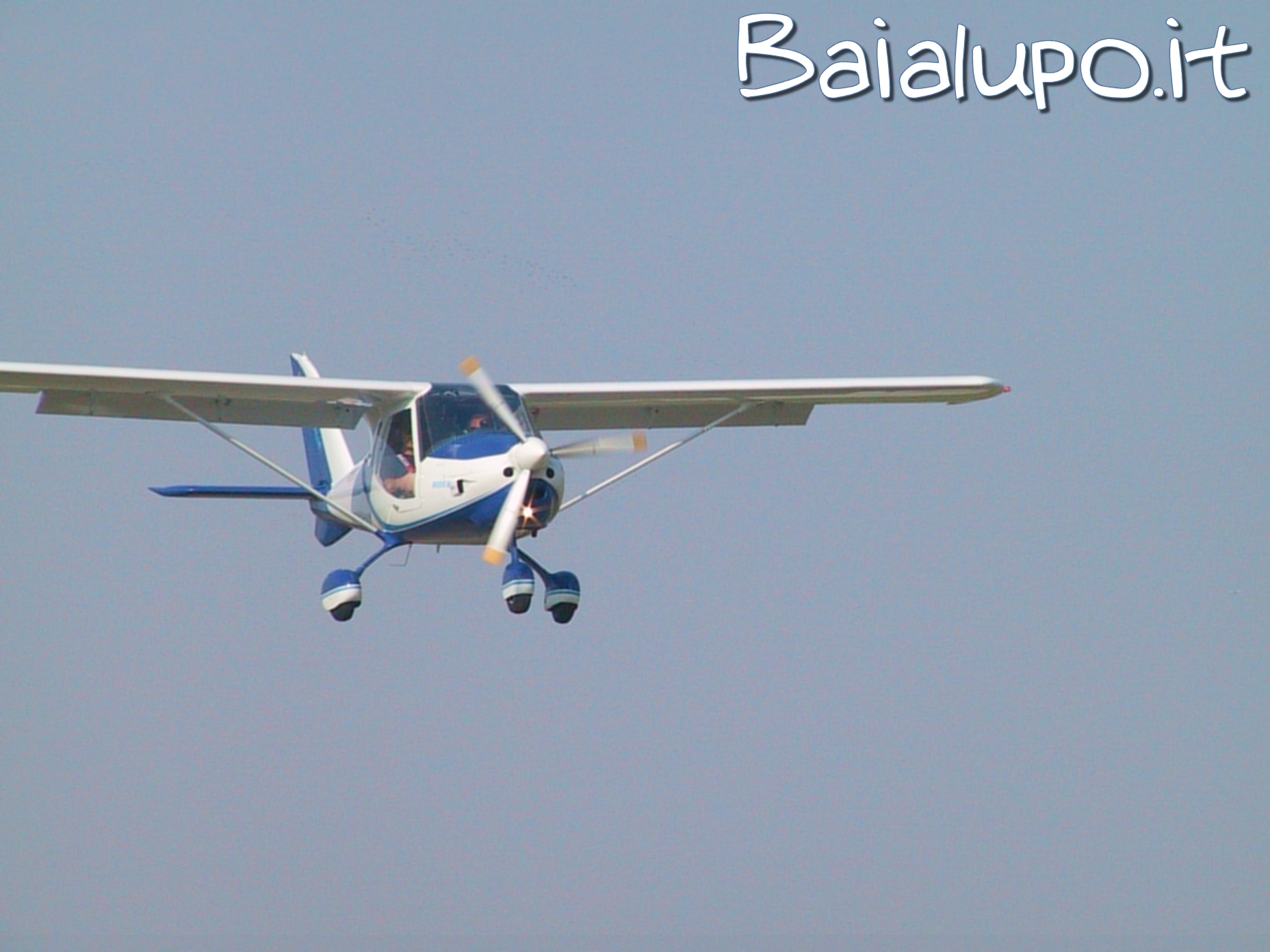 https://www.baialupo.com/gallery/2004-09-carpi/I1779.jpg