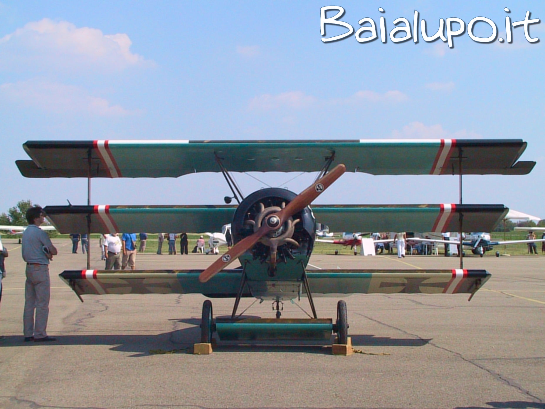 https://www.baialupo.com/gallery/2004-09-carpi/I1809.jpg