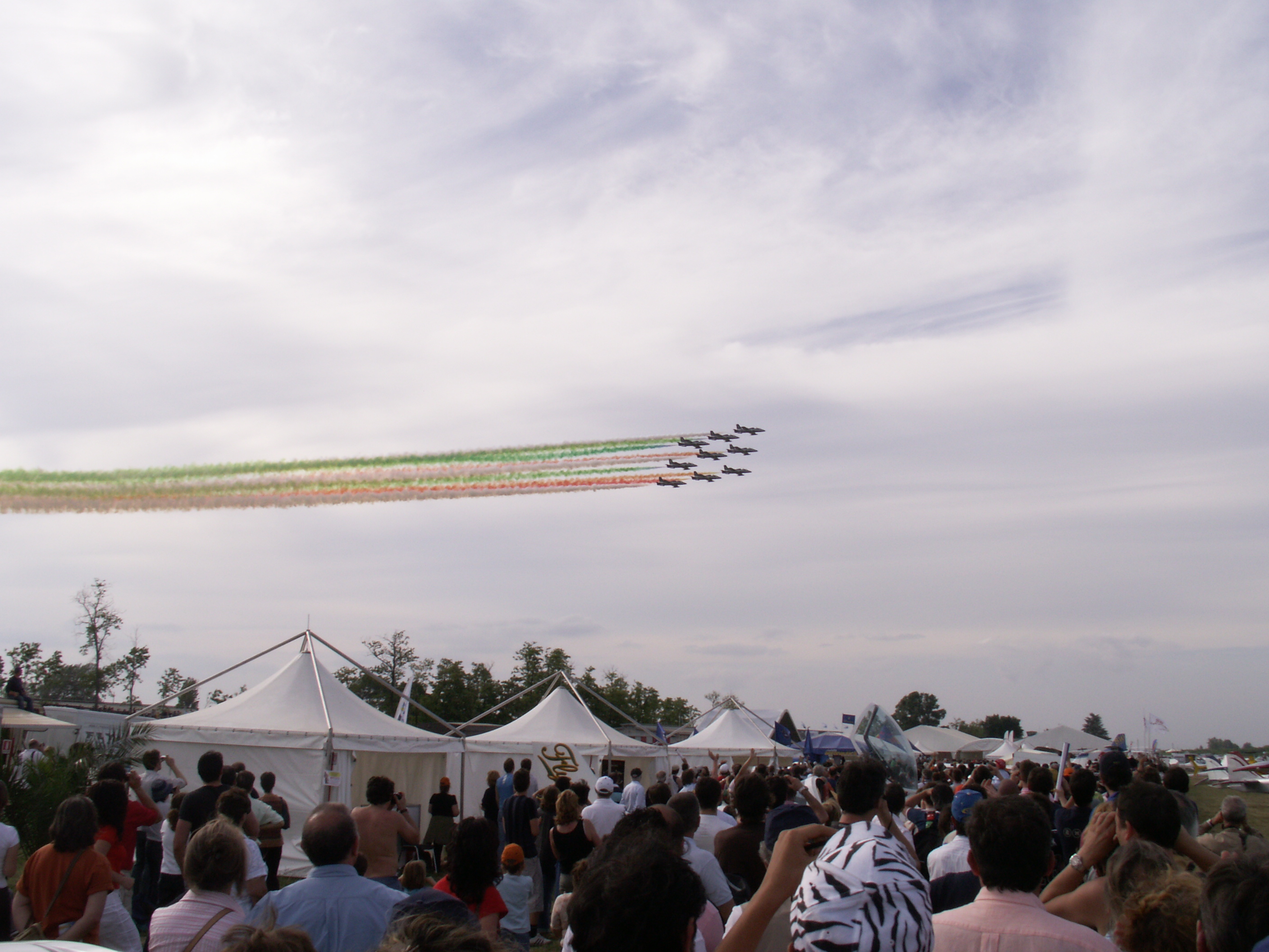 https://www.baialupo.com/gallery/2006-05-voghera/Voghera06_138.jpg