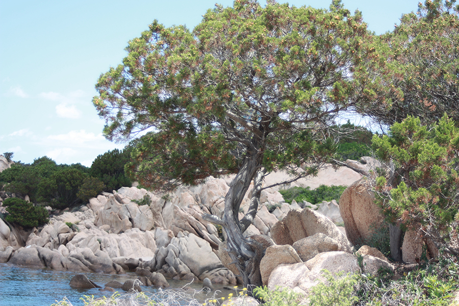 https://www.baialupo.com/gallery/2009-06-sardegna/IMG_1144.jpg