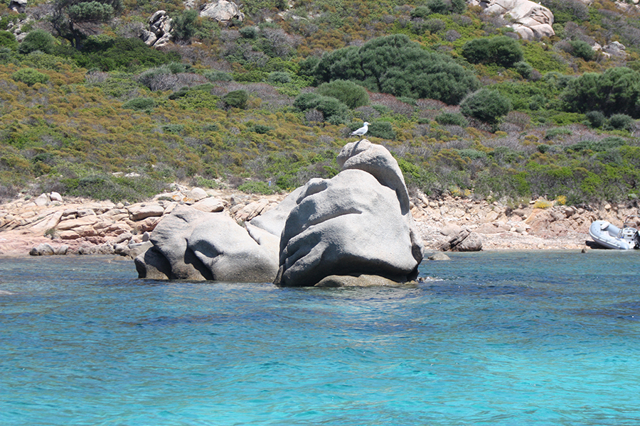 https://www.baialupo.com/gallery/2009-06-sardegna/IMG_1245.jpg