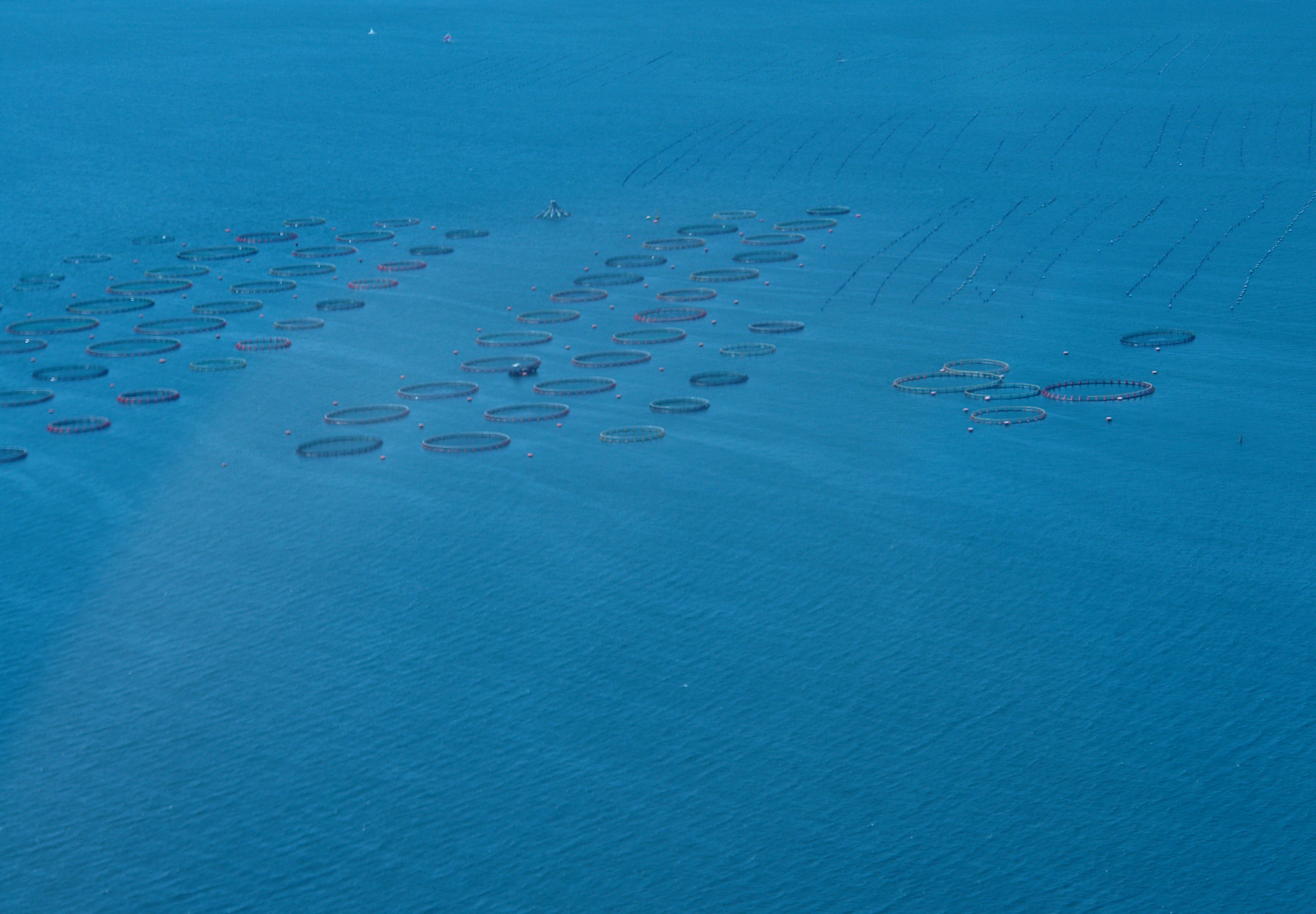https://www.baialupo.com/gallery/2010-07-puglia/2010-07-31-145924.SONY-DSC-R1.jpg