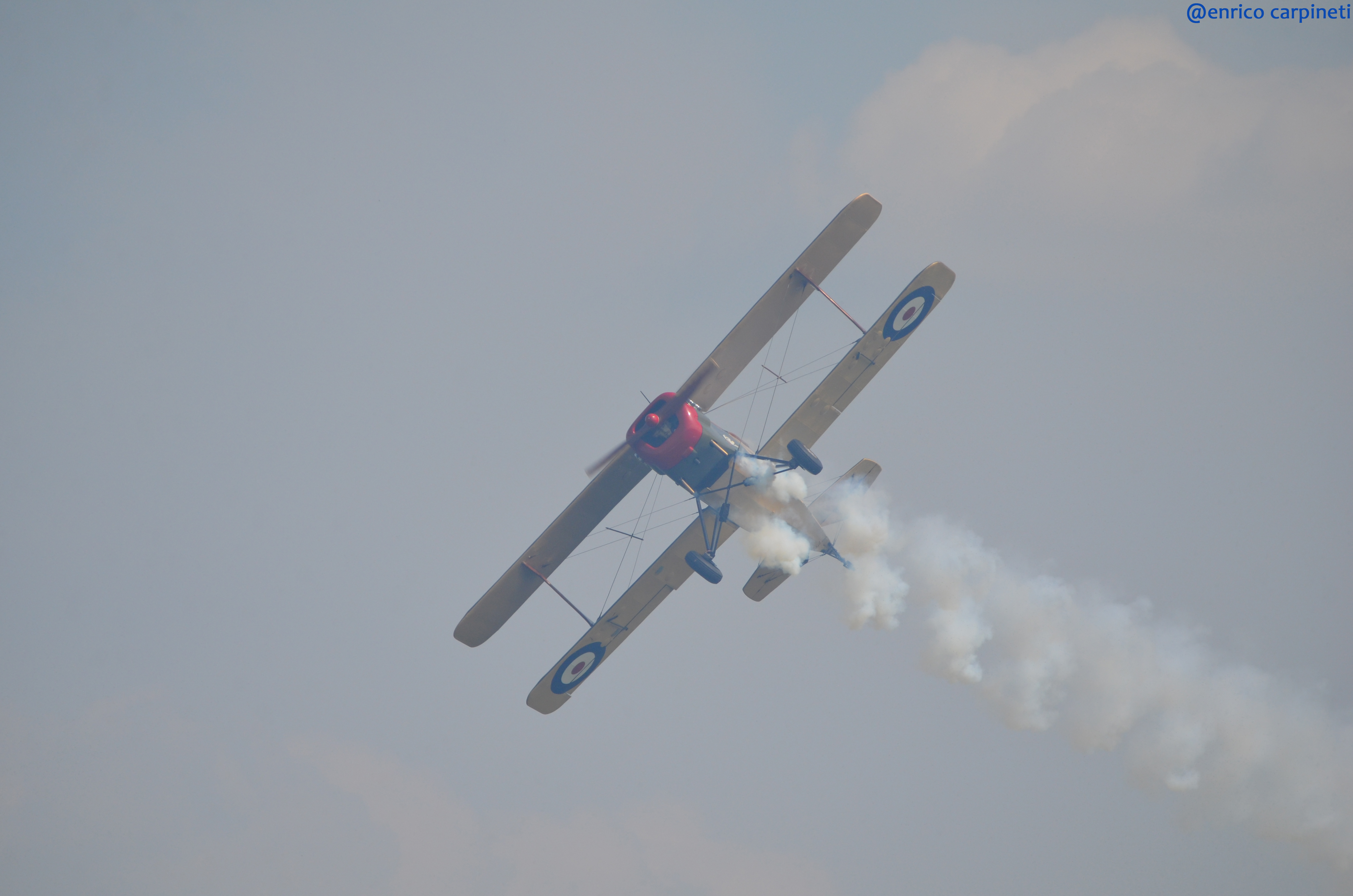 https://www.baialupo.com/gallery/2014-09-legnago/legnago-2014-09-07-13-43-38.jpg