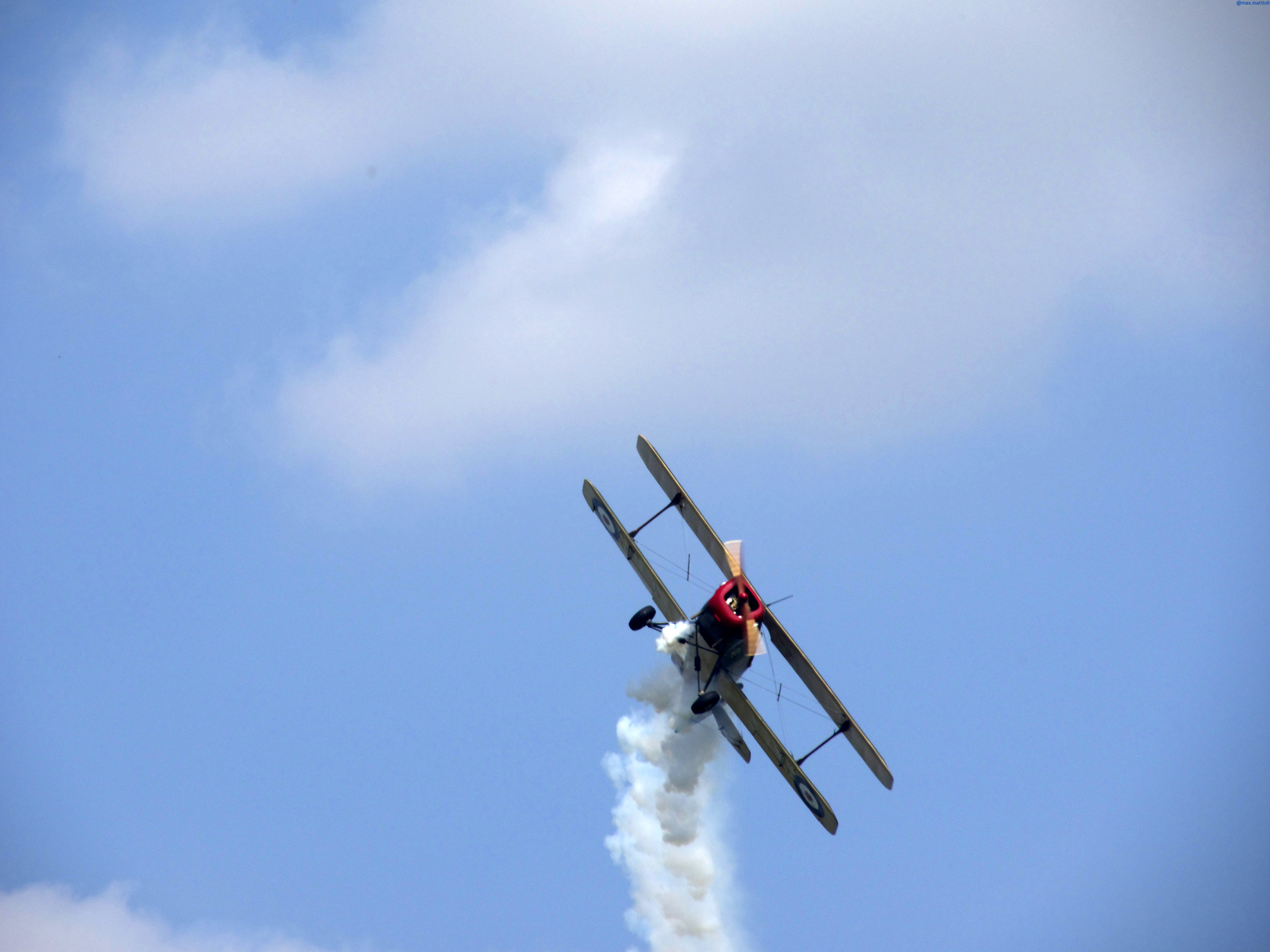 https://www.baialupo.com/gallery/2014-09-legnago/legnago-m-2014-09-07-14-43-54.jpg