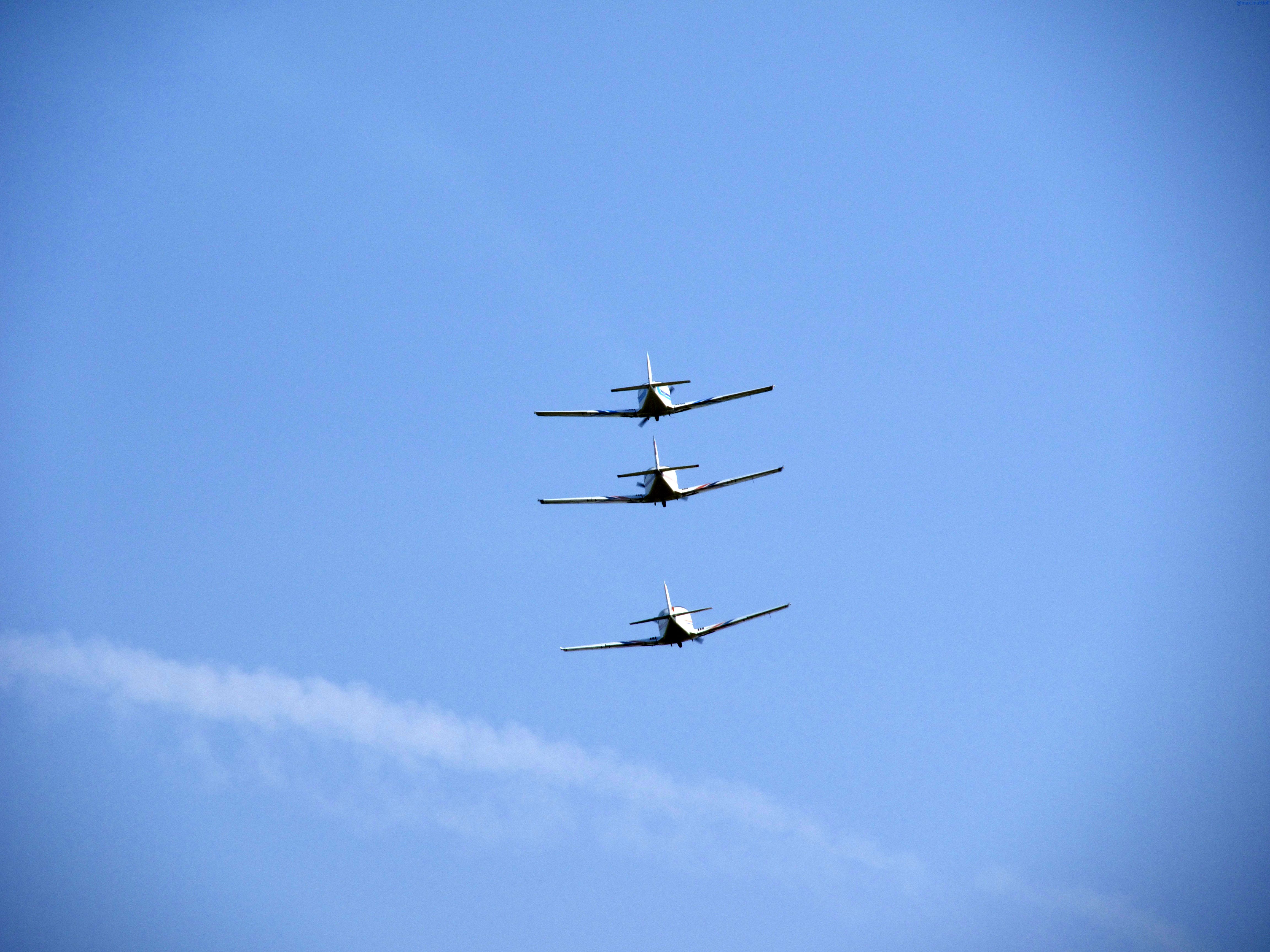 https://www.baialupo.com/gallery/2014-09-legnago/legnago-m-2014-09-07-15-36-09.jpg
