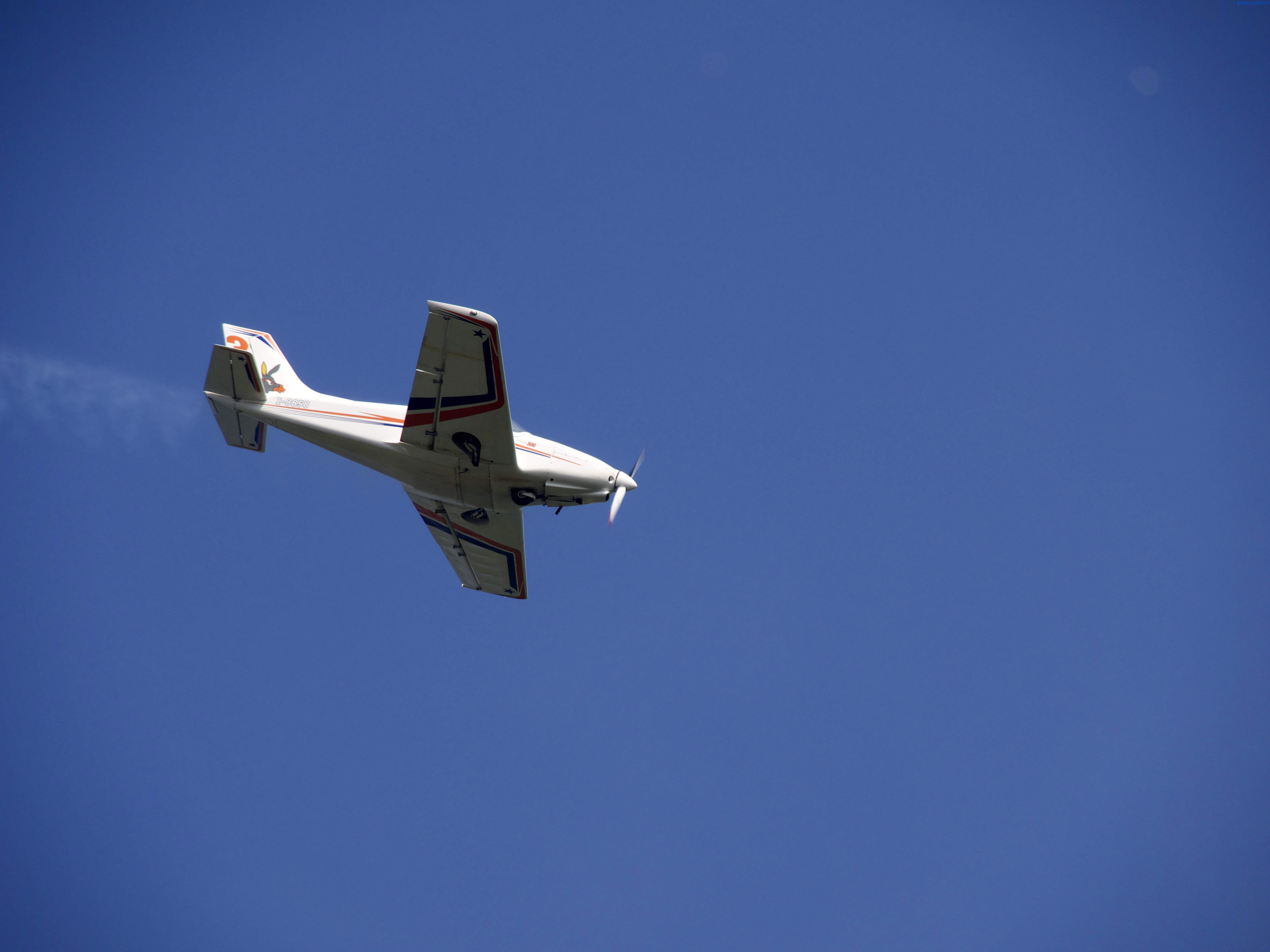 https://www.baialupo.com/gallery/2014-09-legnago/legnago-m-2014-09-07-15-42-14.jpg