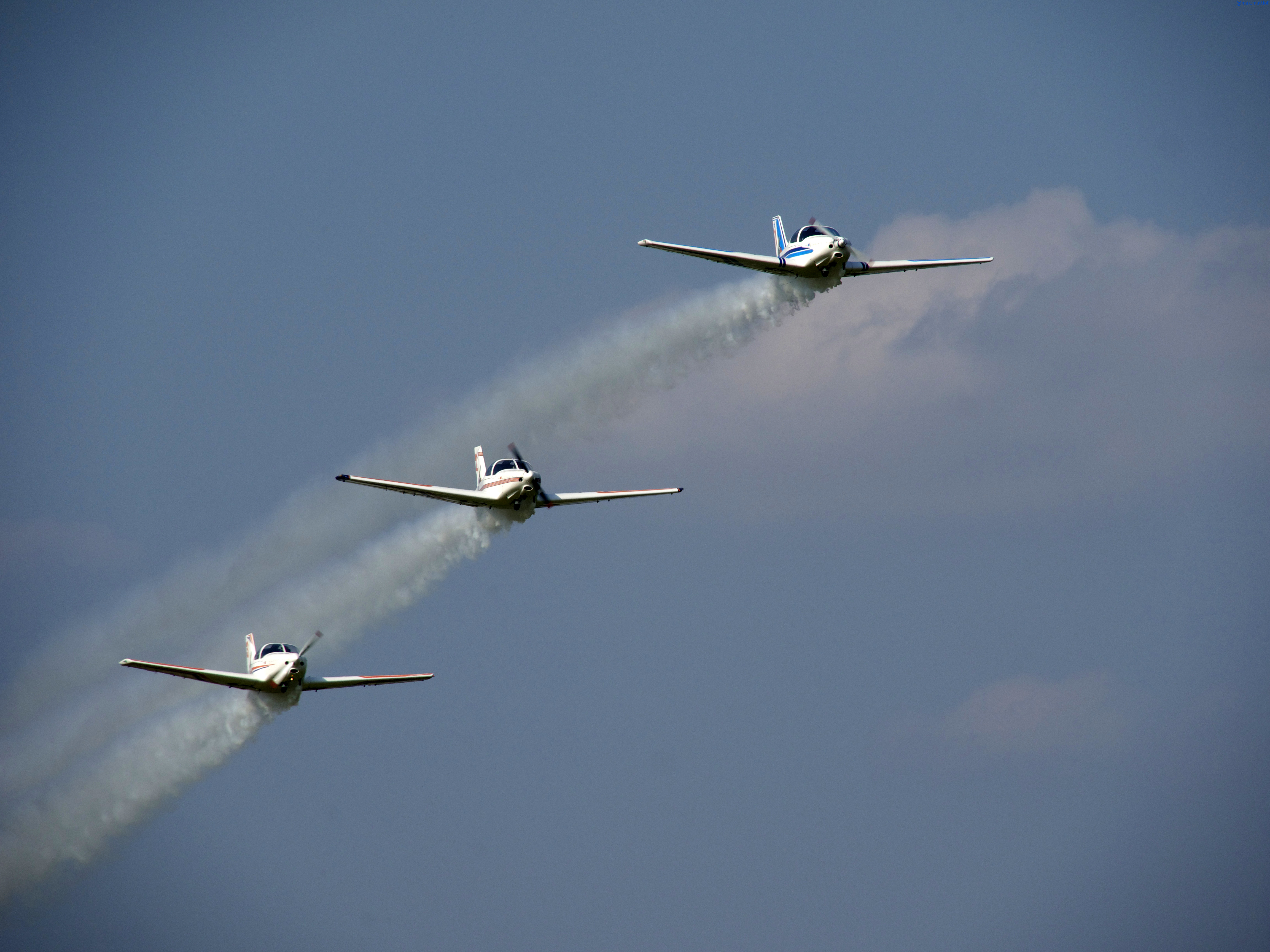 https://www.baialupo.com/gallery/2014-09-legnago/legnago-m-2014-09-07-15-45-16.jpg