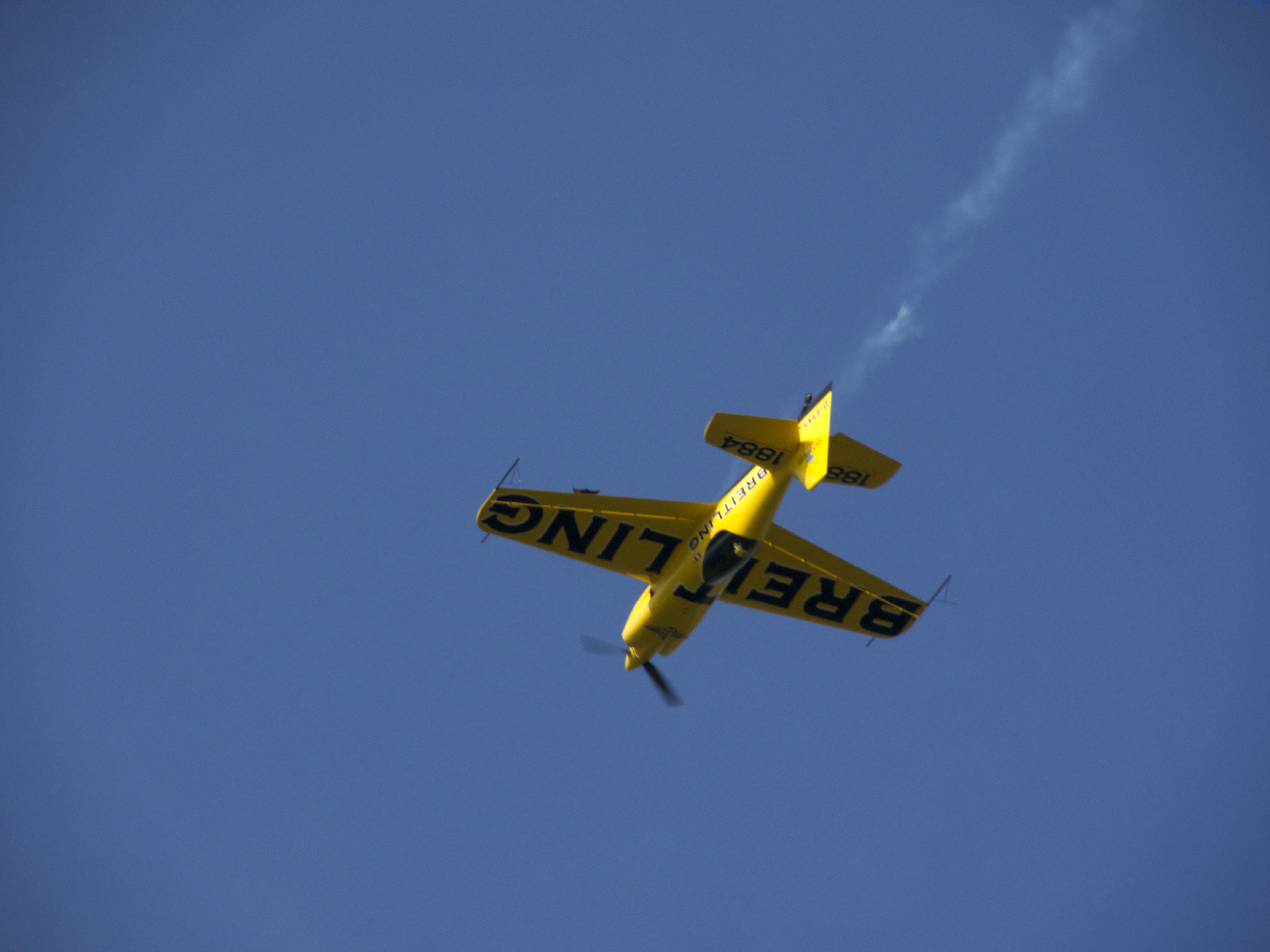 https://www.baialupo.com/gallery/2014-09-legnago/legnago-m-2014-09-07-16-16-18.jpg